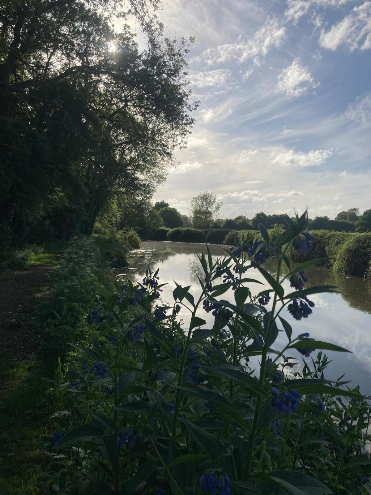 Dutch Cruiser Ship On A Tranquil Secluded River Tonbridge Esterno foto